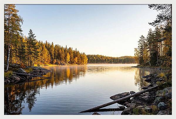 Chicot State Park Serenity