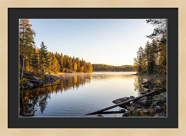 Chicot State Park Serenity
