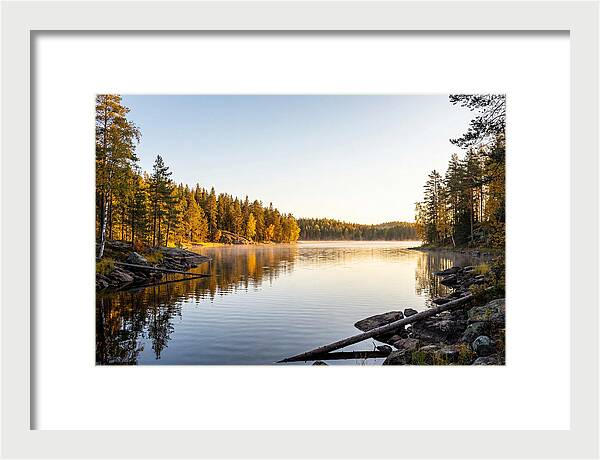 Chicot State Park Serenity
