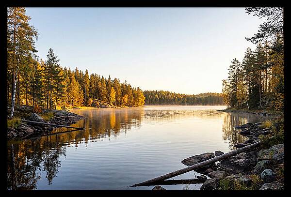 Chicot State Park Serenity