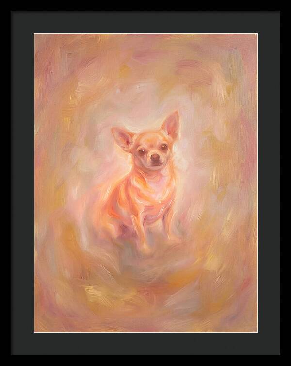 Chihuahua Portrait
