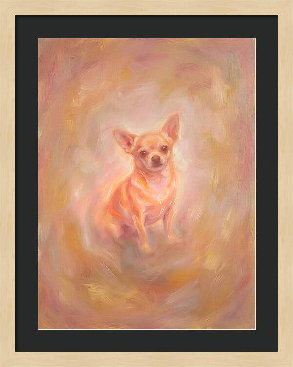 Chihuahua Portrait