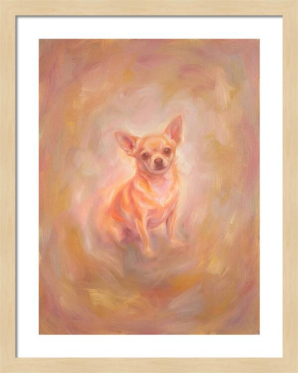 Chihuahua Portrait