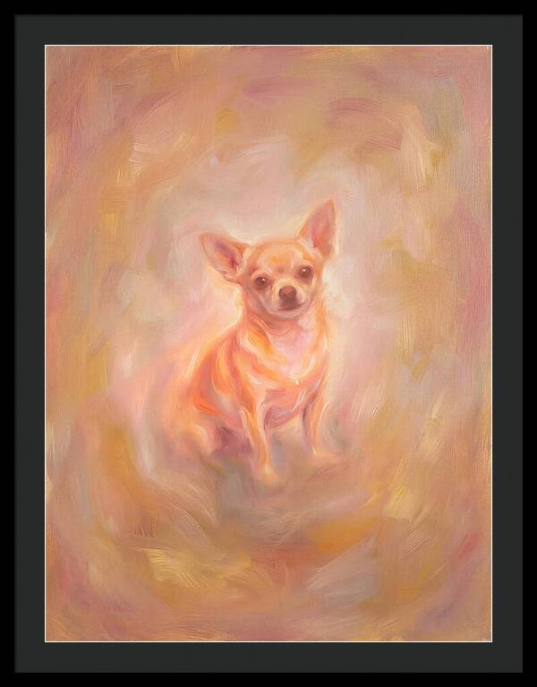 Chihuahua Portrait