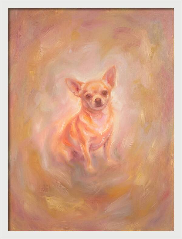 Chihuahua Portrait