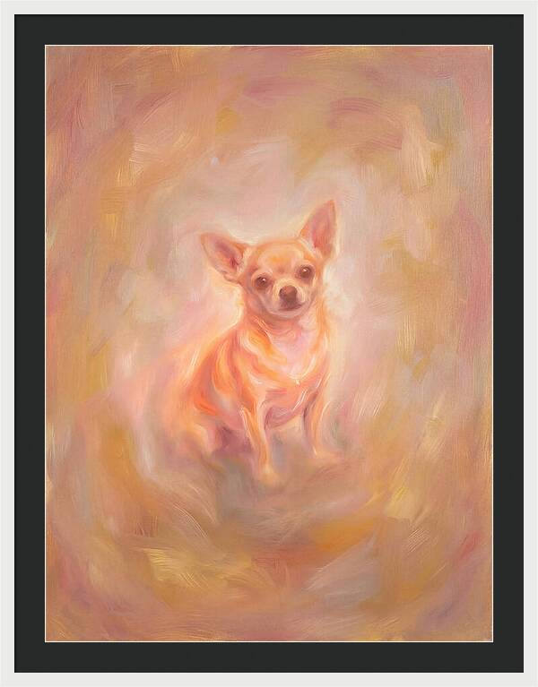 Chihuahua Portrait