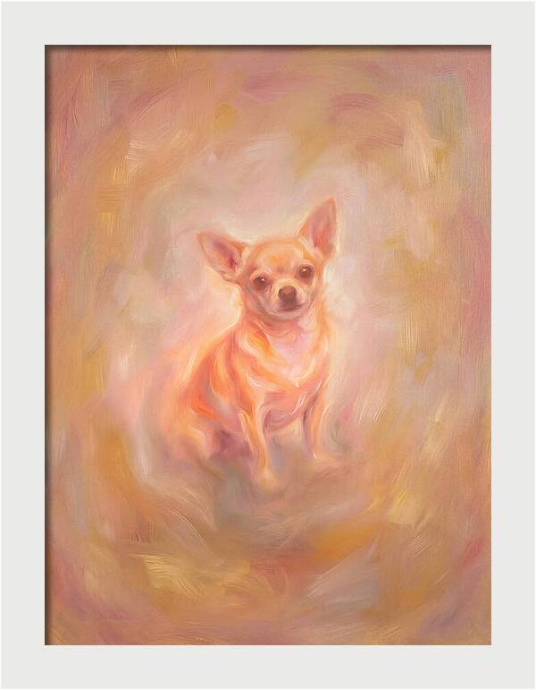 Chihuahua Portrait