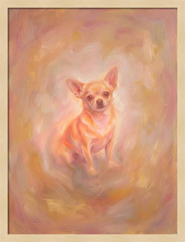 Chihuahua Portrait