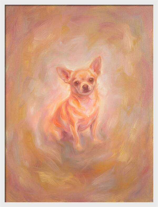 Chihuahua Portrait