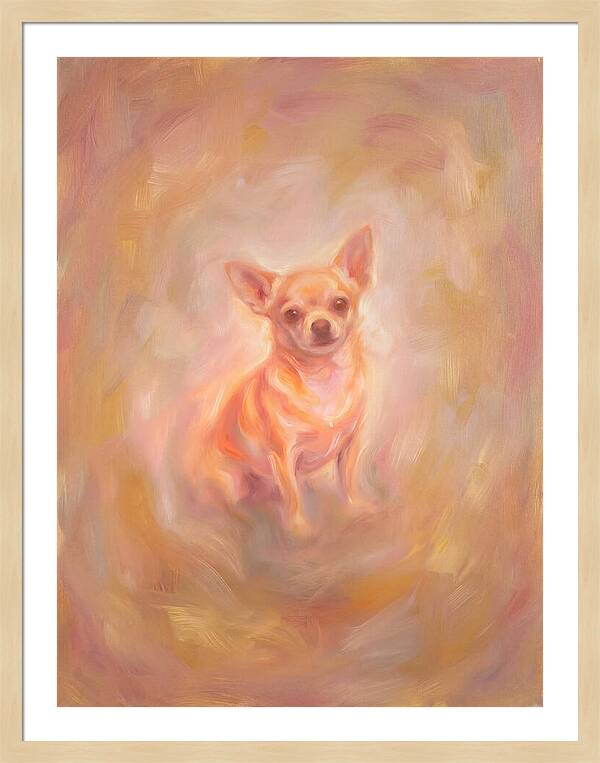 Chihuahua Portrait