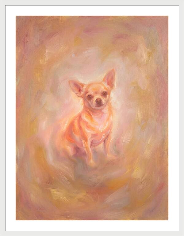 Chihuahua Portrait
