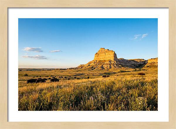 Chimney Rock Prairie Vista