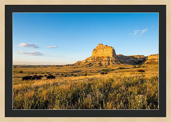 Chimney Rock Prairie Vista
