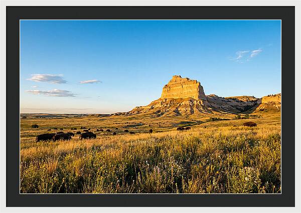 Chimney Rock Prairie Vista