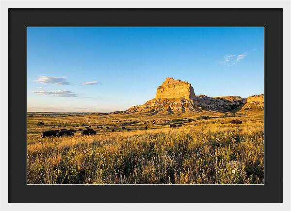 Chimney Rock Prairie Vista
