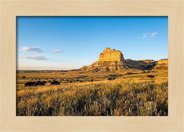Chimney Rock Prairie Vista