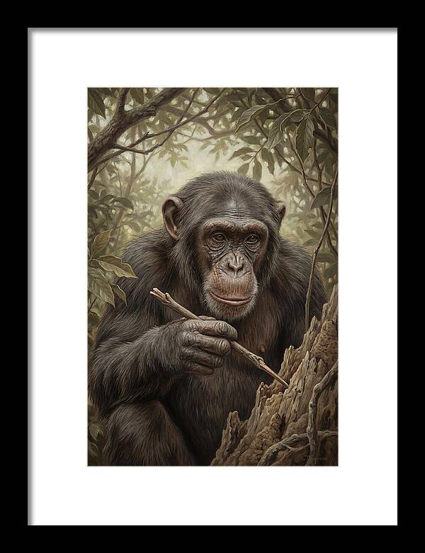 Chimpanzee Using Tools