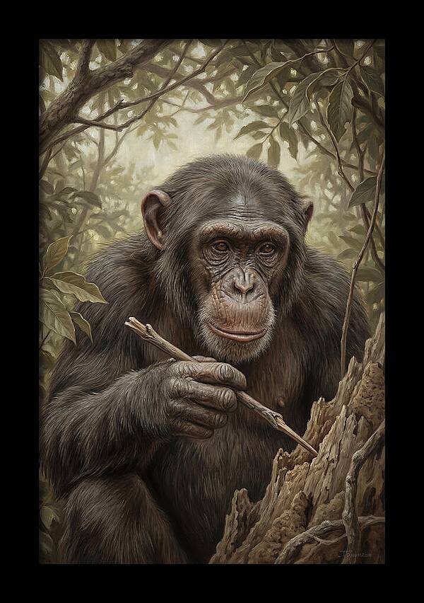 Chimpanzee Using Tools