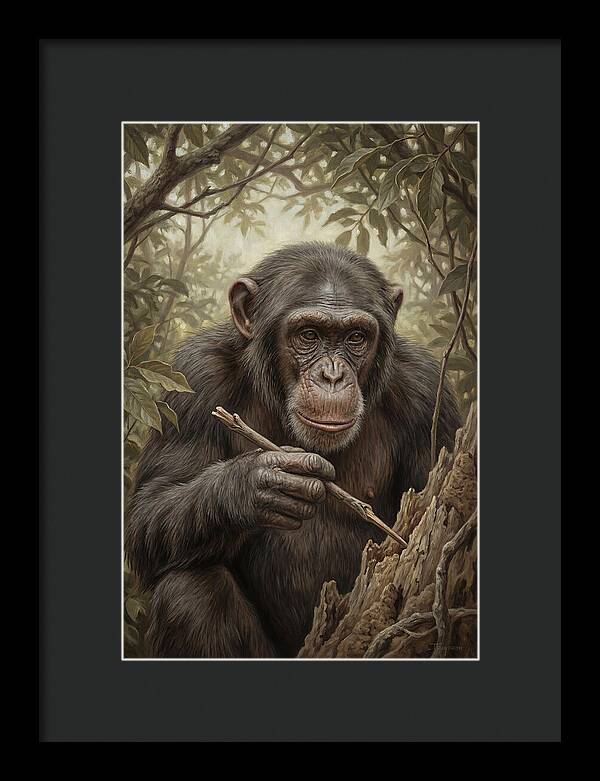 Chimpanzee Using Tools