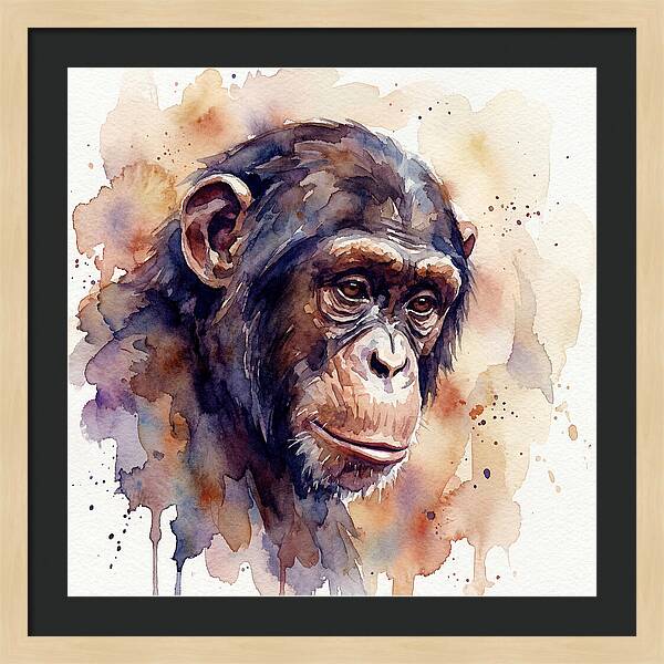 Chimpanzee Watercolor Portrait