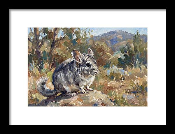 Chinchilla In Nature