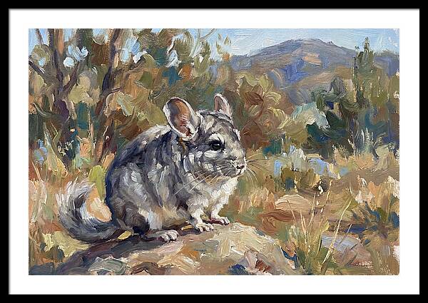Chinchilla In Nature
