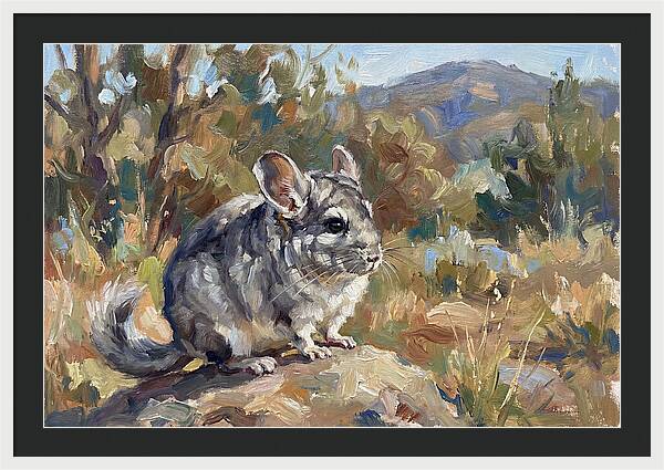 Chinchilla In Nature
