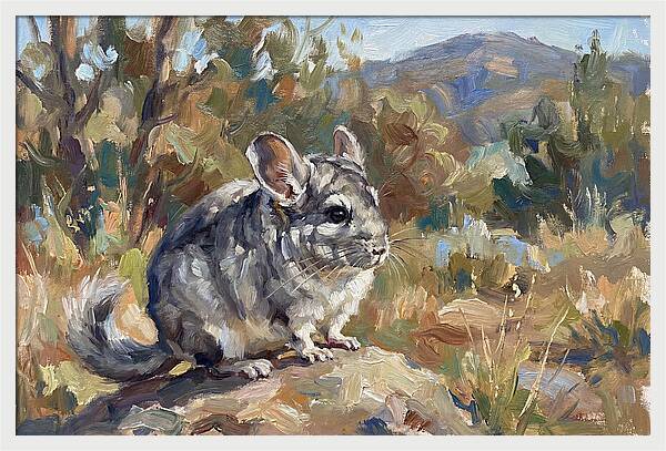 Chinchilla In Nature