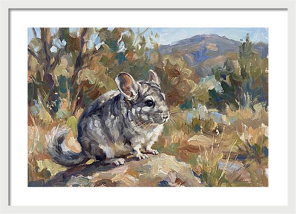 Chinchilla In Nature