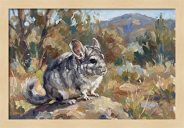 Chinchilla In Nature