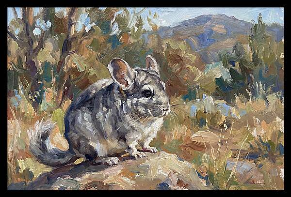 Chinchilla In Nature