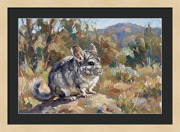 Chinchilla In Nature