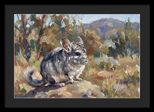 Chinchilla In Nature