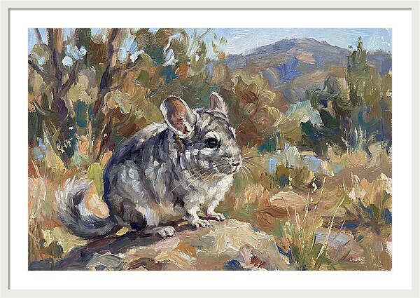 Chinchilla In Nature