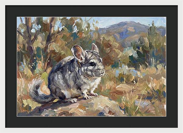 Chinchilla In Nature