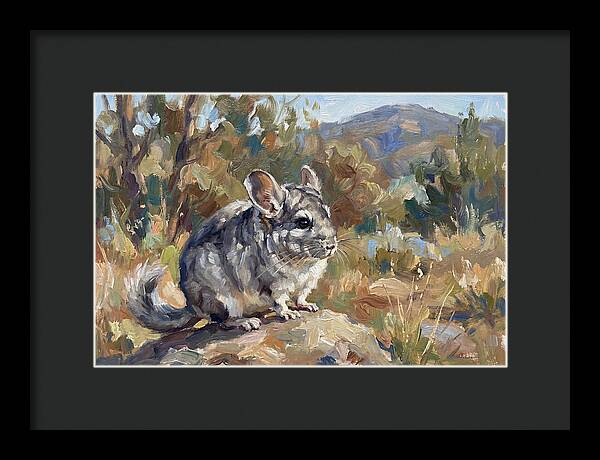 Chinchilla In Nature