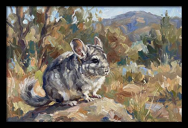 Chinchilla In Nature