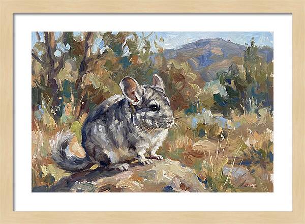 Chinchilla In Nature