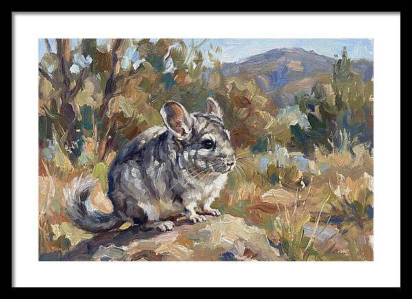 Chinchilla In Nature