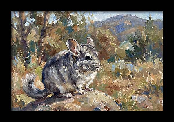 Chinchilla In Nature