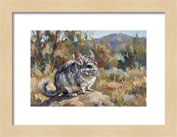 Chinchilla In Nature