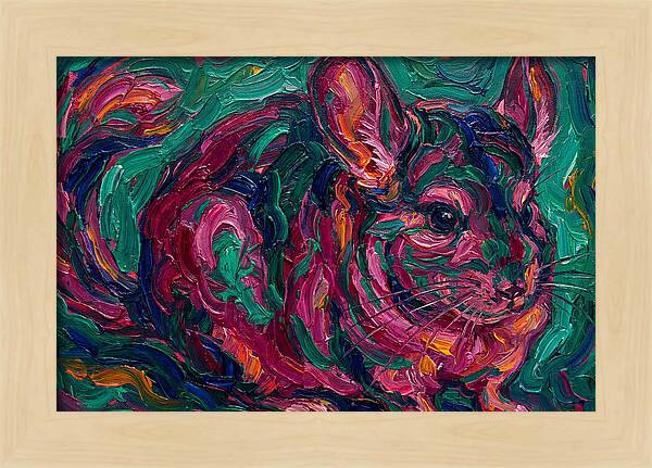 Chinchilla In Vibrant Colors