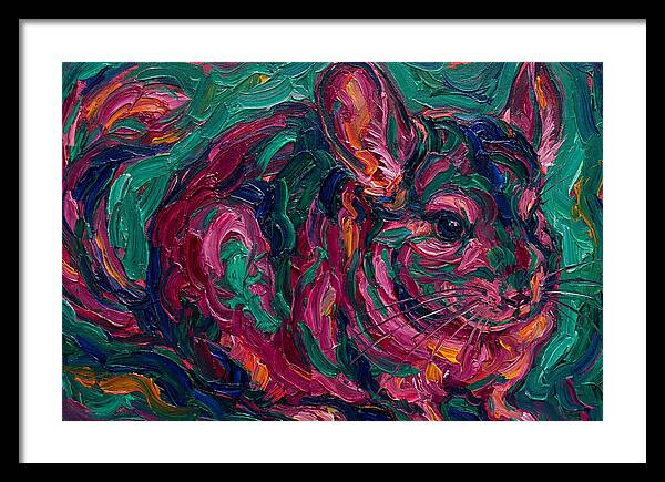 Chinchilla In Vibrant Colors