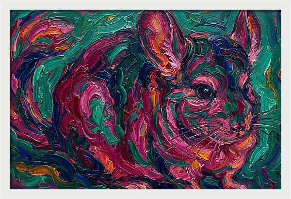 Chinchilla In Vibrant Colors