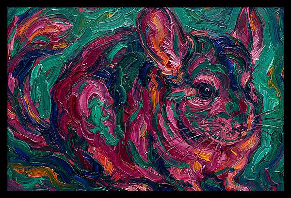 Chinchilla In Vibrant Colors