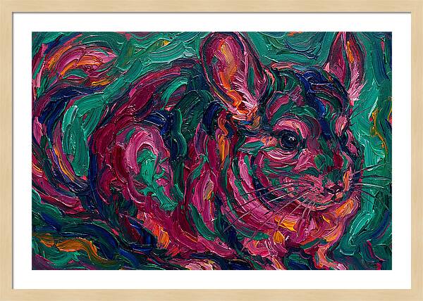 Chinchilla In Vibrant Colors