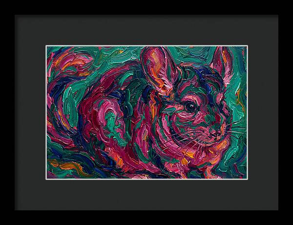 Chinchilla In Vibrant Colors