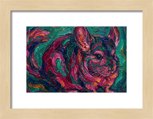 Chinchilla In Vibrant Colors