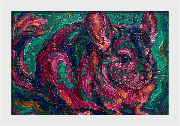 Chinchilla In Vibrant Colors