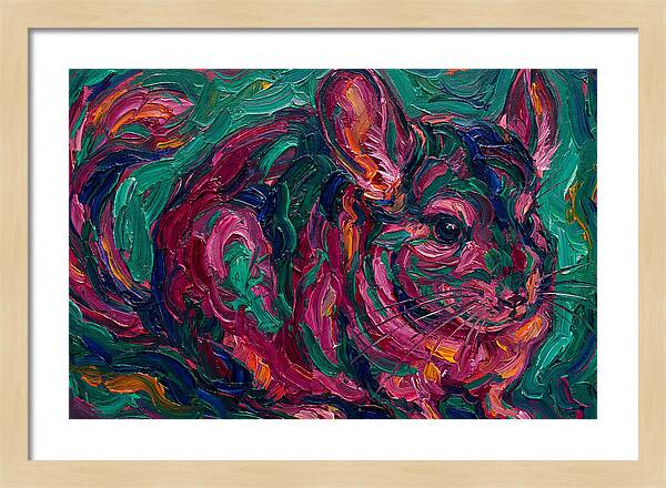Chinchilla In Vibrant Colors